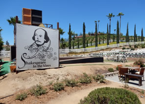 Photo of Shakespeare in the Vines stage looking from the back